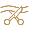 Compelling Campaign Priorities Icon