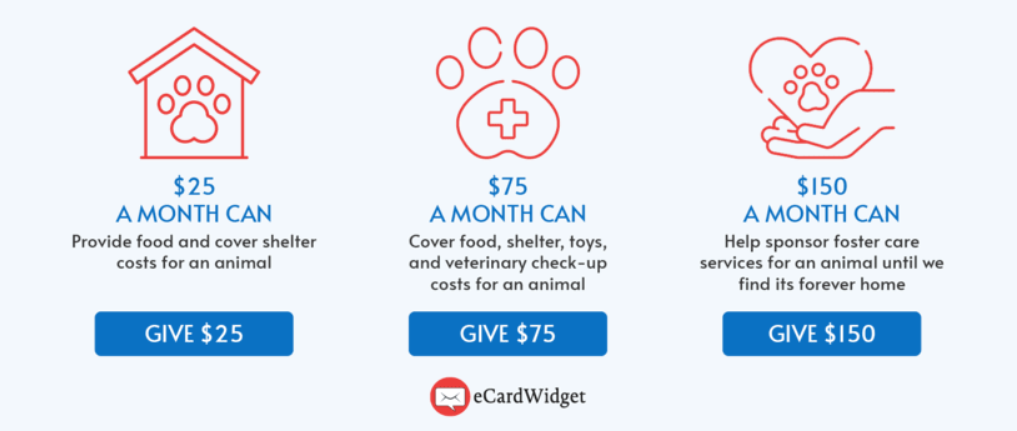 Different donation levels that list the impact of each donation size